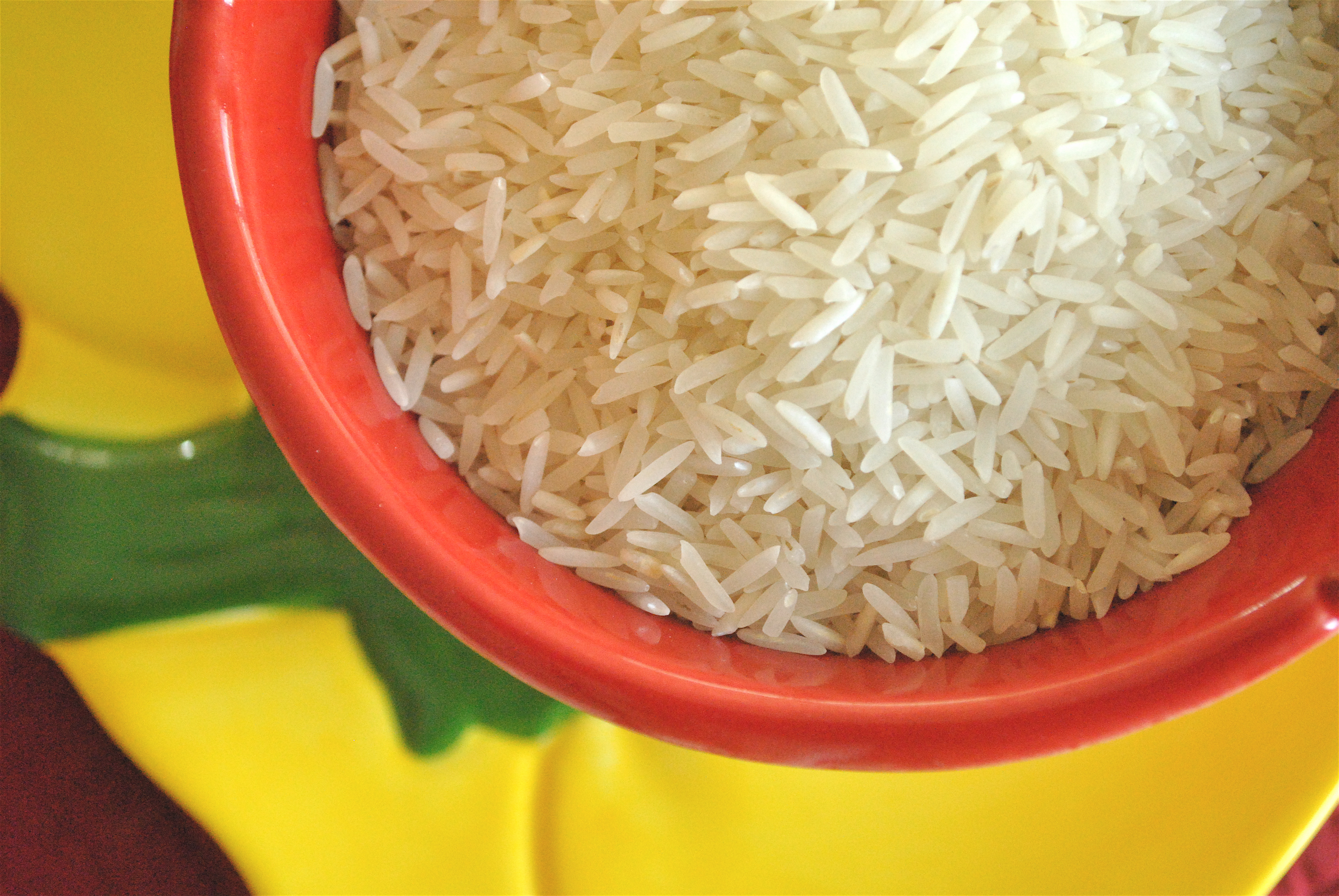 Close view of uncooked rice